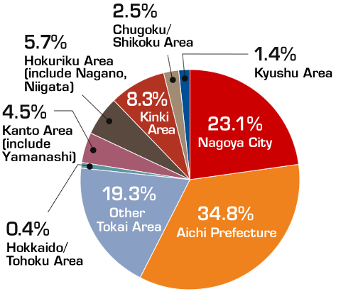 The pie chart, showing the percentage of where the visitors came from.