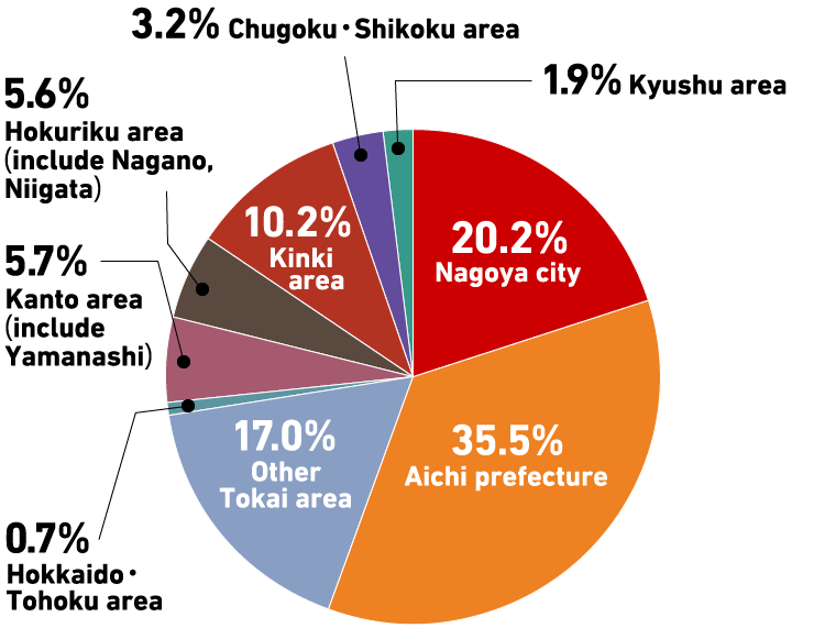 The pie chart, showing the percentage of where the visitors came from.