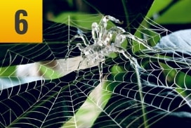 Jpキュービックで制作したアクリル製の蜘蛛サンプルイメージ