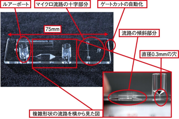 今回のサンプルワークと、各部の名称や展示での見どころ